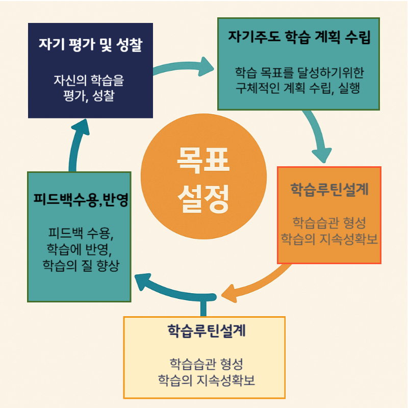 학습루틴 다이어그램