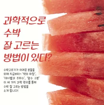 대구 수박껍질 음식물 일반쓰레기 과태료 피하는 법_18