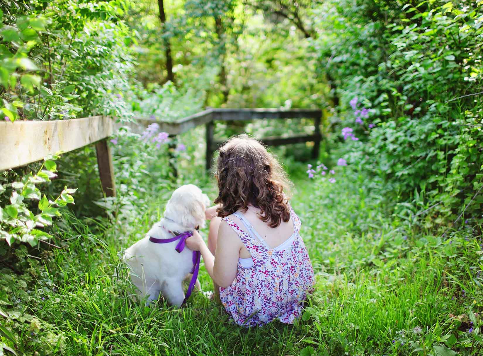 반려동물 유대감 관련 사진