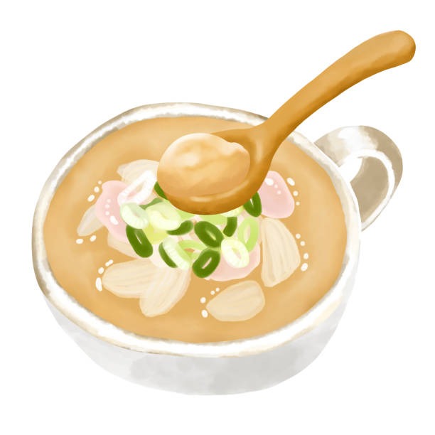 토란국 일러스트