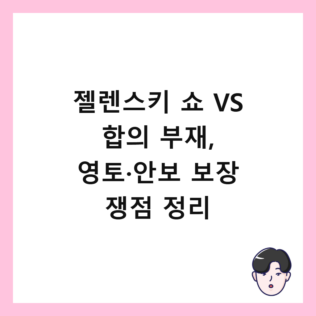젤렌스키 쇼 VS 합의 부재, 영토&middot;안보 보장 쟁점 정리 썸네일