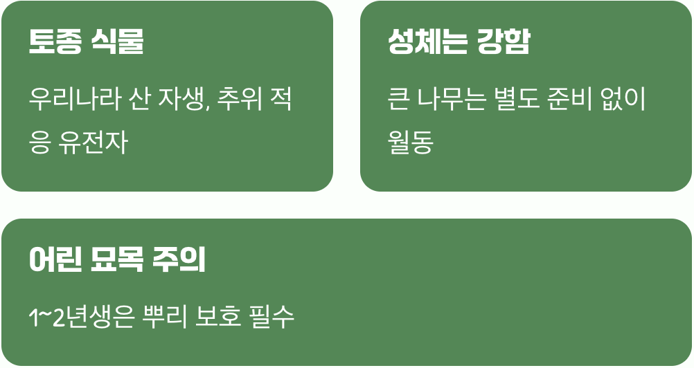 이 덩굴&amp;#44; 생각보다 강해요