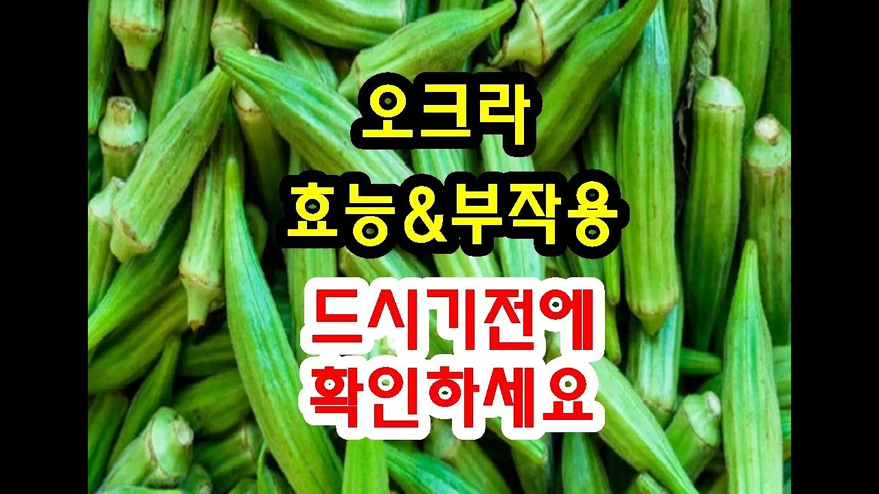 오크라 효능 재배법 손질 수확 요리 보관까지 한눈에 보기_5