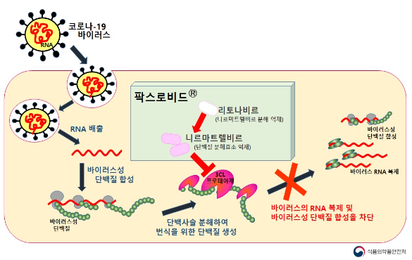 팍스로비드 부작용