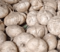 돼지감자 차 만드는법