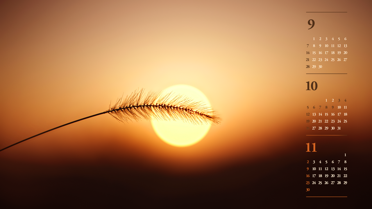 06 갈대와 노을 B - 2025년10월 노트북배경화면