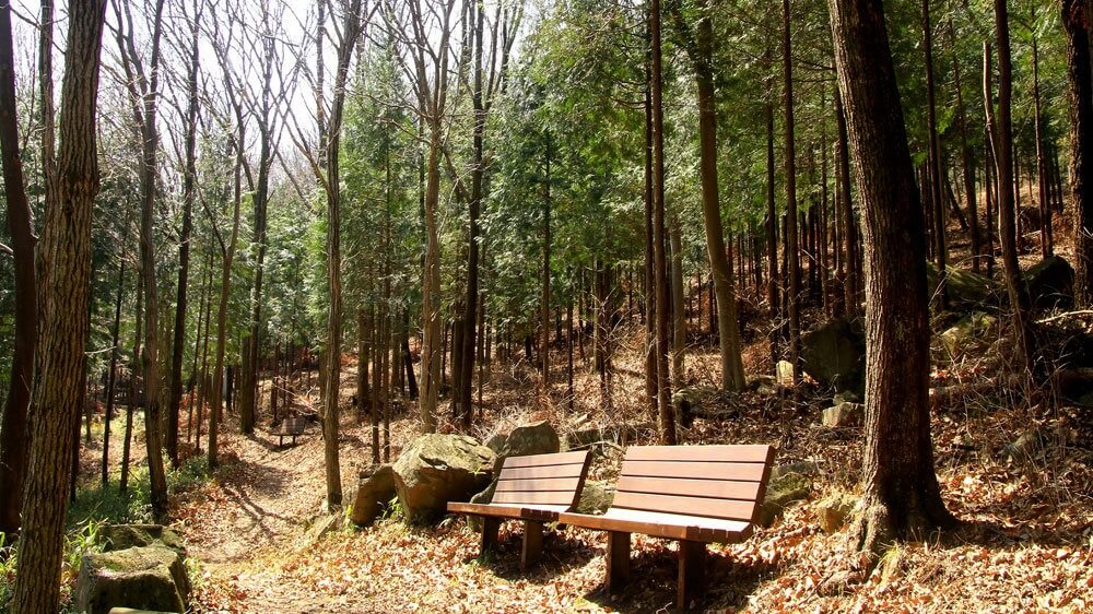 회문산 자연휴양림 예약