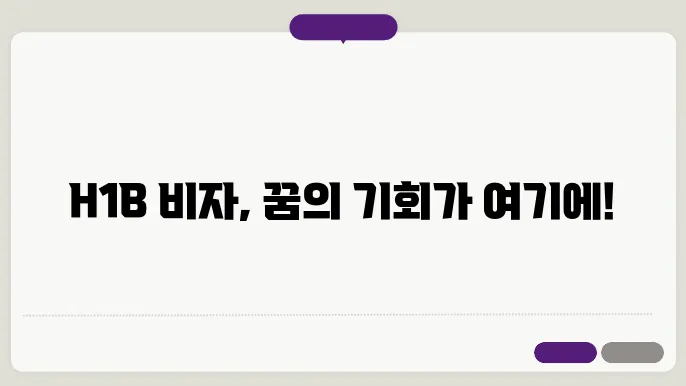 h1b 비자 신청서