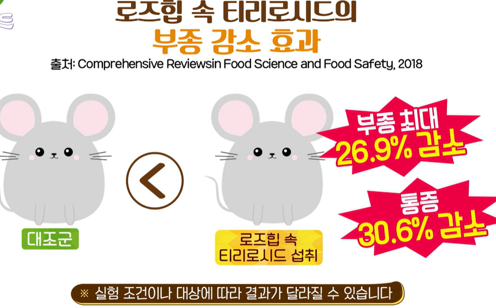 로즈힙 퓨레 효능