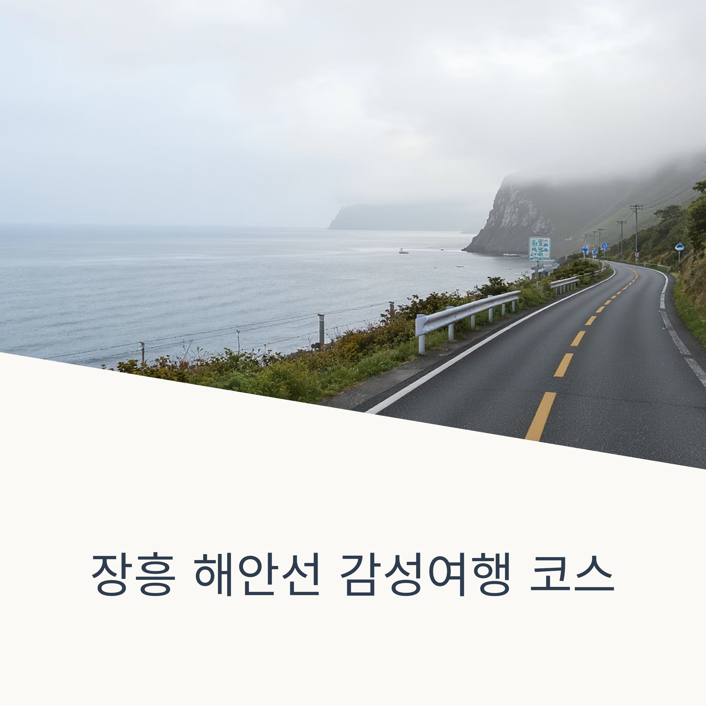 장흥 해안선 감성여행 코스!