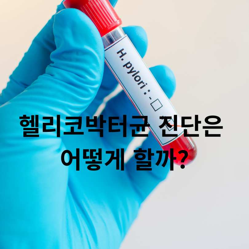 헬리코박터균 감염