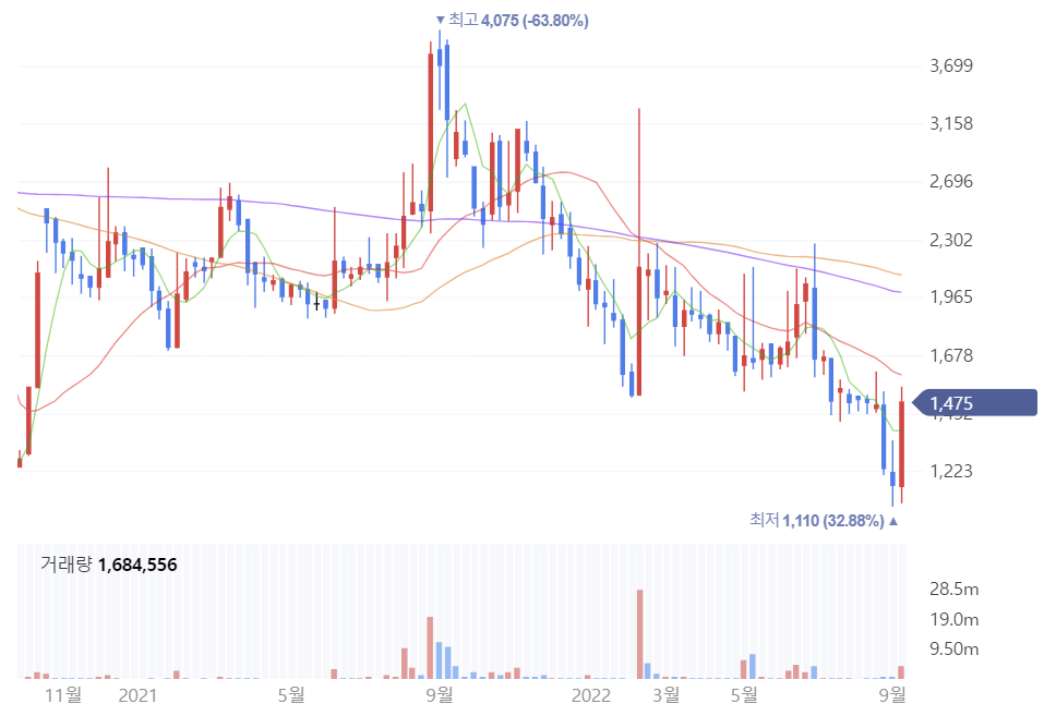 코드네이처 주가 전망