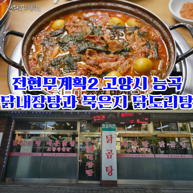 전현무계획2-능곡-달내장탕 - 묵은지-닭도리탕까지-완벽한-고양시-토당동-맛집