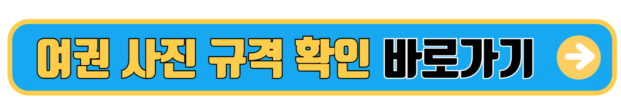 여권 사진 규격 안내 (2)