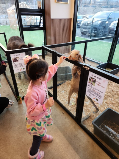 평택 애니멀클럽