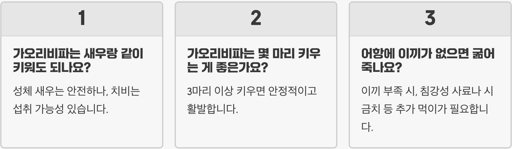 가오리비파 합사 가능한 어종 BEST 5 (온순한 친구들)