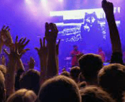 찰리 푸스 정국