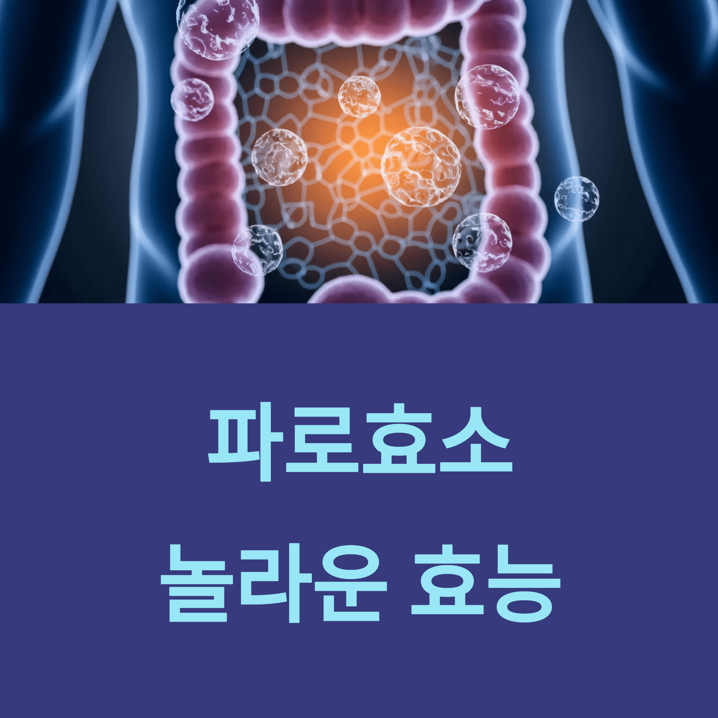 파로효소 효과
