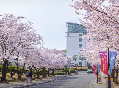 수도권 국립대학교 순위 비교