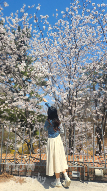 충남-당진-피어라-카페