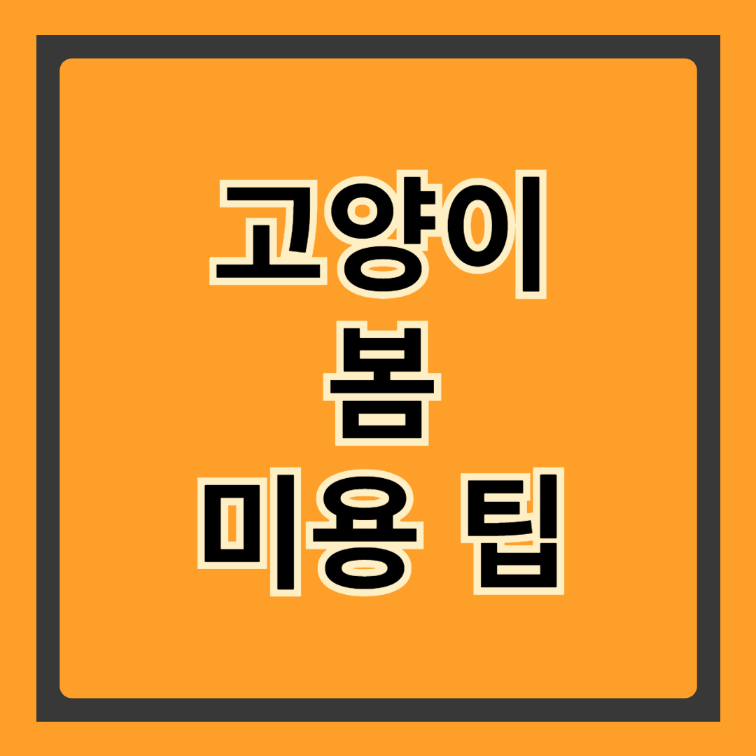 고양이 봄 미용 가이드 &ndash; 환절기 털 관리부터 건강 케어까지