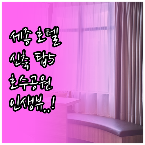 세종시 호텔 추천 신축부터 호수공원 ..