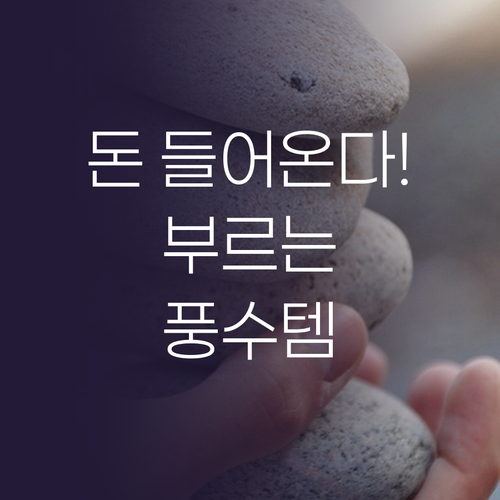 재물운 부르는 황금 돈나무부터 일출 ..