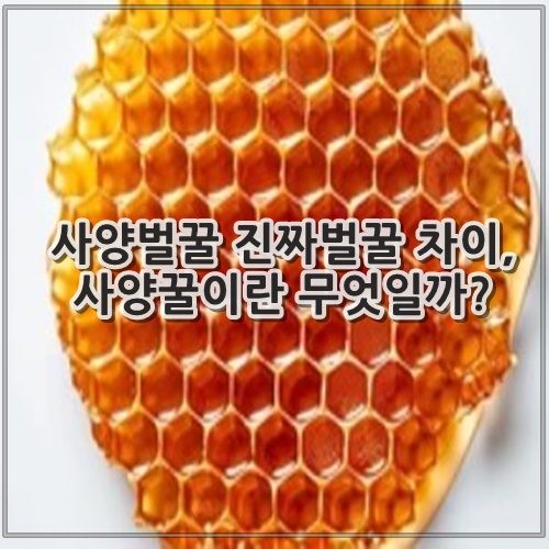 사양벌꿀 진짜벌꿀 차이, 사양꿀이란 무엇일까?