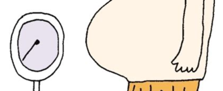 비만도 계산기2