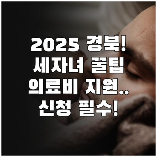 2025 경상북도 저출생 세자녀 의료..