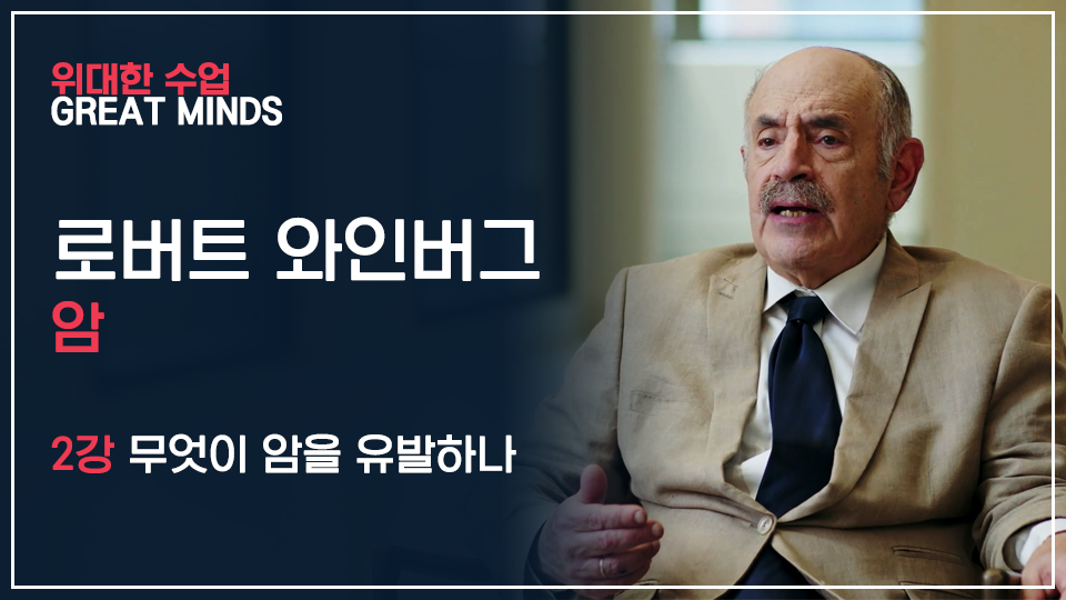 위대한 수업 로버트 와인버그 암 표지