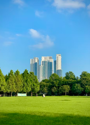 사라진 뚝섬과 남은 성수동 사이의 연결고리