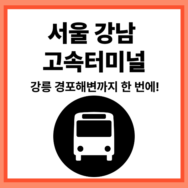 서울 강남 고속터미널 완벽 가이드 🚍 노선, 맛집, 주차까지 총정리!