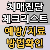 치매 자가진단 체크리스트와 예방 및 치료방법 안내
