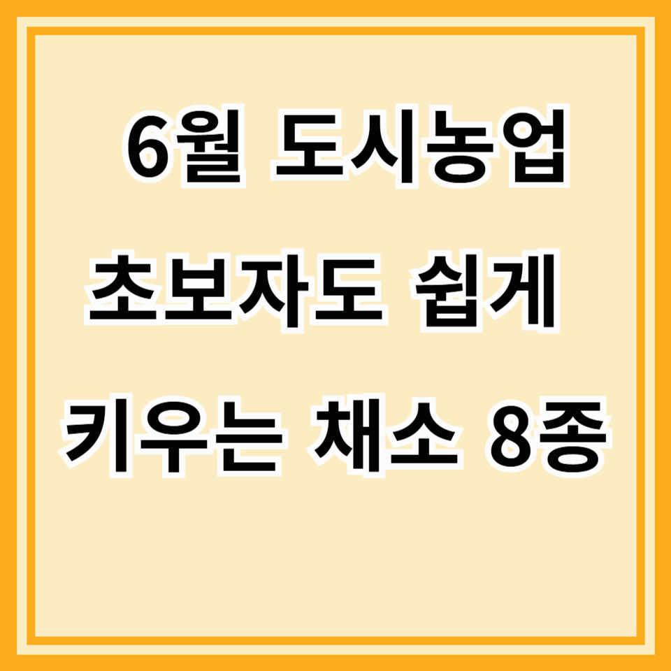 6월, 도시농업 텃밭 가꾸기! 초보자도 가능한 채소 추천과 노하우