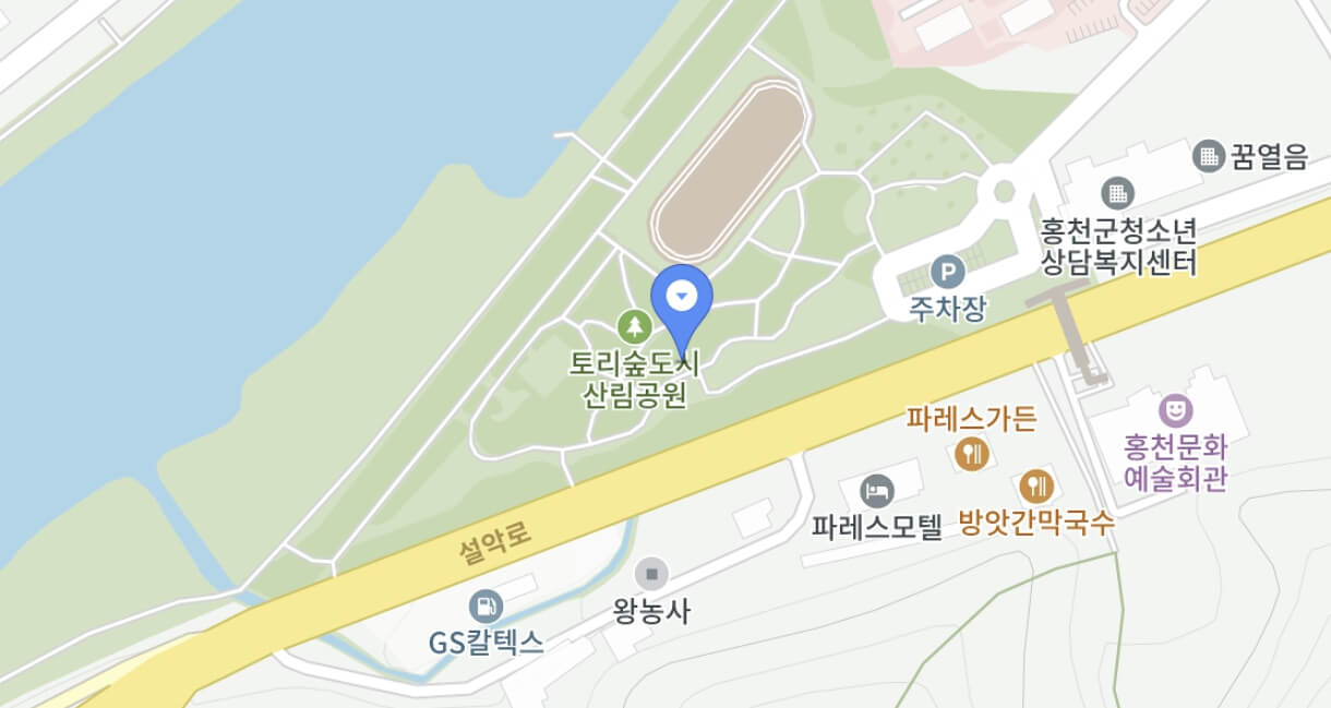 홍천 찰옥수수 축제 2026