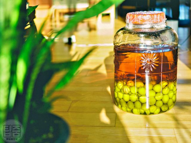 매실 효능,매실청 만들기 담그기,매실청 효능,팁줌