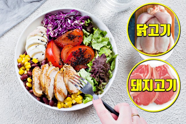 요요없는 다이어트 방법, 생로병사의 비밀, 단백질, 건강, 매일꿀정보