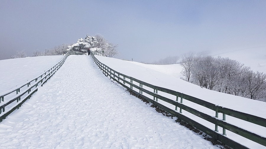 지금 가장 예쁜 설경 4선 겨울 여행 지금 떠나야 할 이유