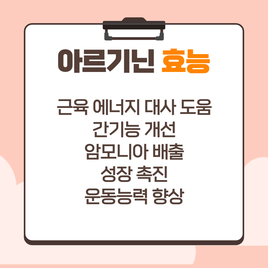 아르기닌 효능 부작용 섭취방법 주의사항