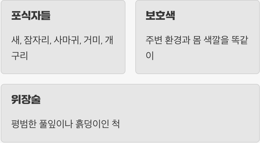 살아남기 위한 최고의 전략, '보호색'