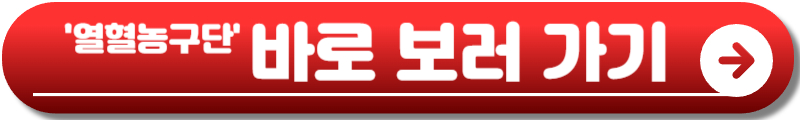 열혈농구단