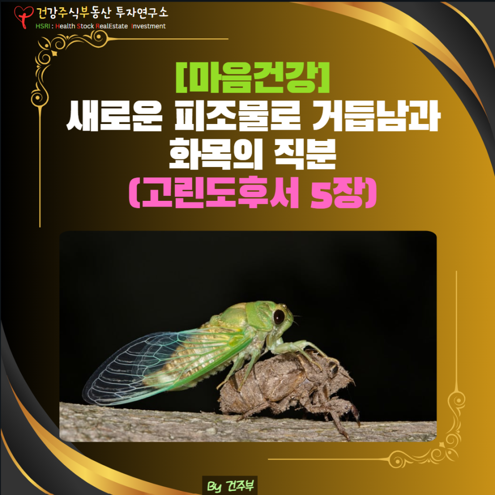 새로운 피조물로 거듭남과 화목의 직분

(글 그림 : 건주부, 그림 출처 : Canva)