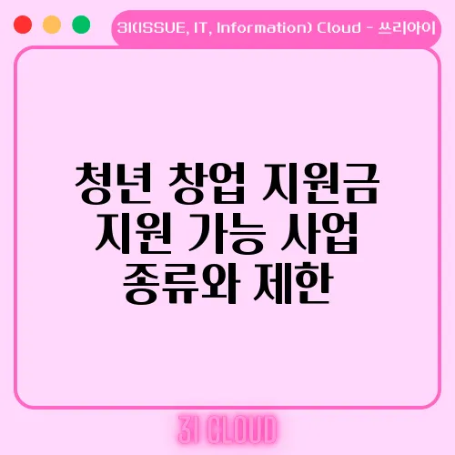 청년 창업 지원금 지원 가능 사업 종류와 제한