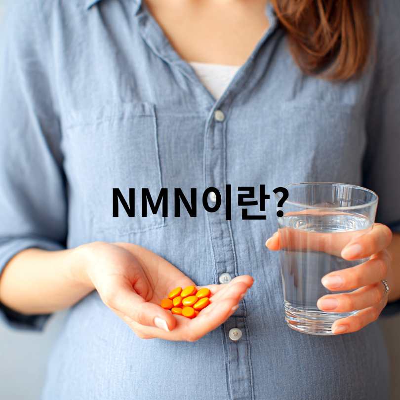 40대 이후 꼭 먹어야 할 노화방지 영양제 비교: NMN과 코큐텐