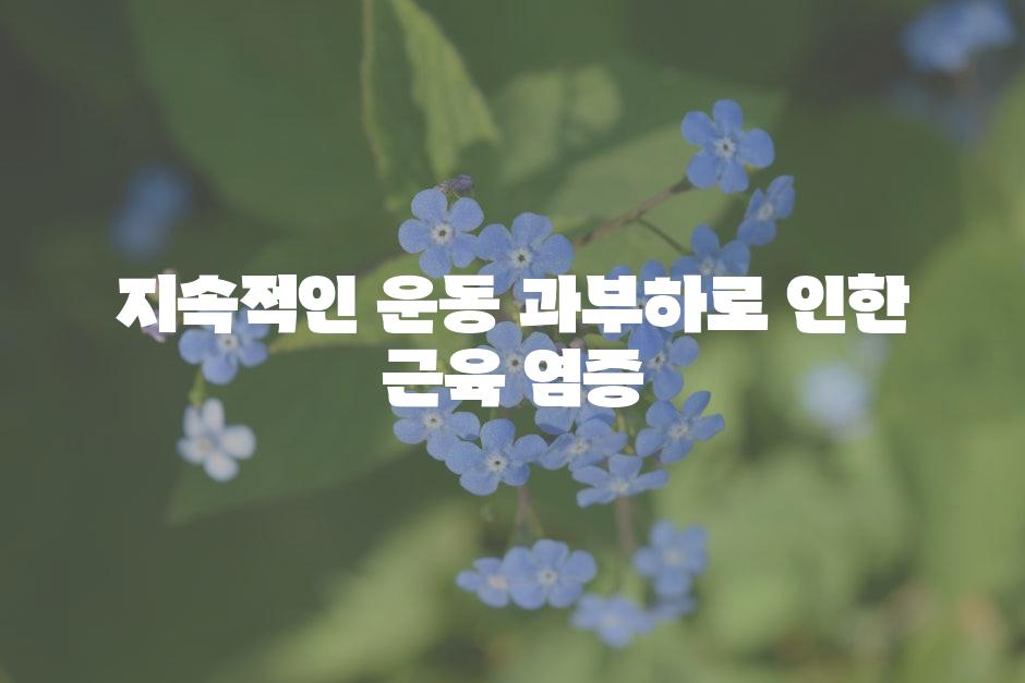 지속적인 운동 과부하로 인한 근육 염증