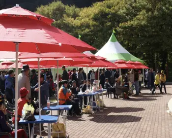 문경 사과축제_28