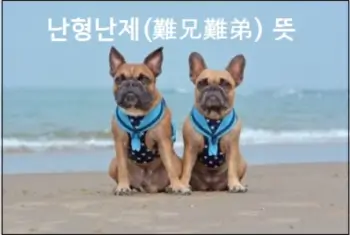 난형난제(難兄難弟) 뜻