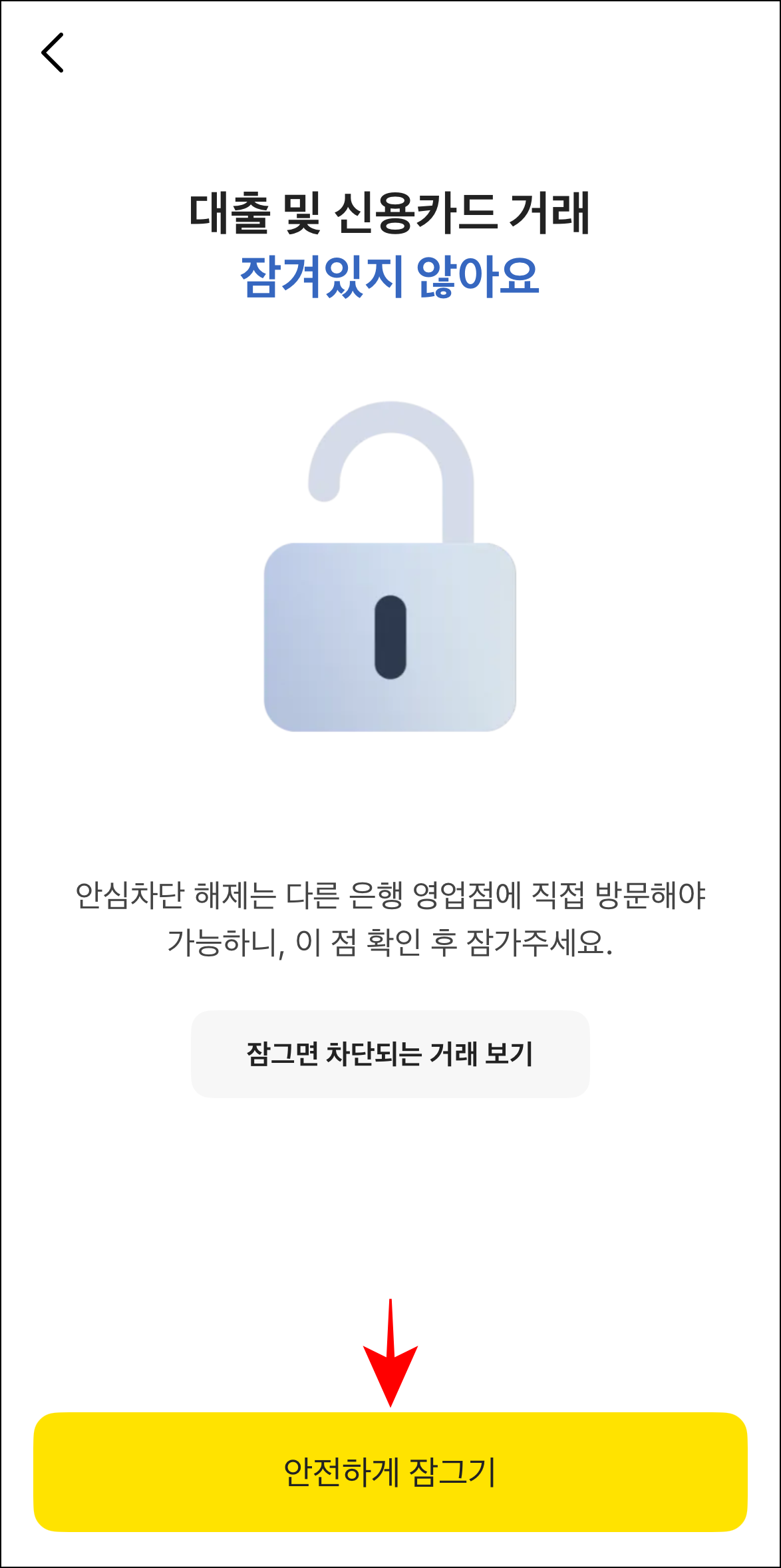 여신거래 차단을 위해 '안전하게 잠그기'를 선택