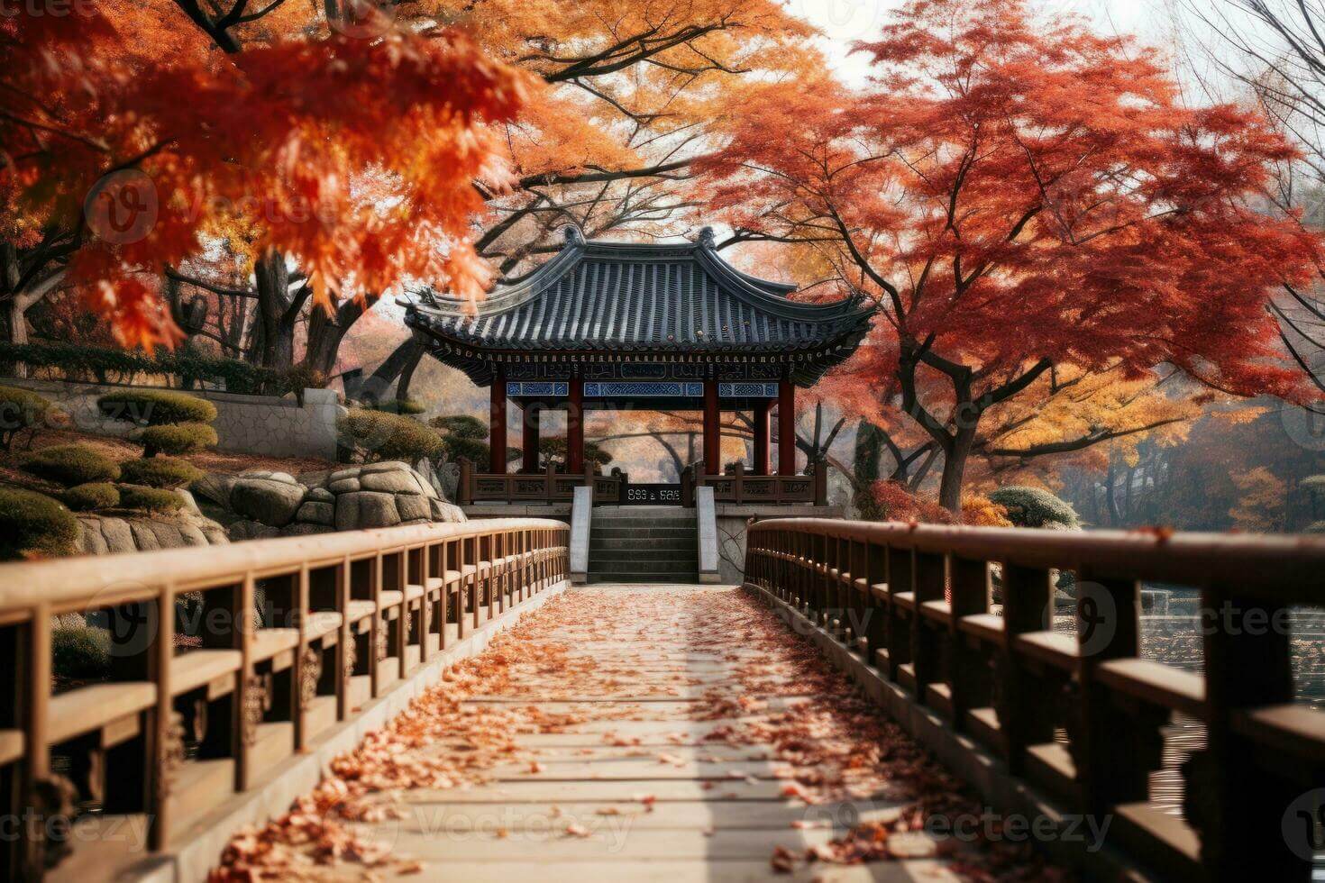 2024 설악산 단풍축제: 가을의 아름다움을 만끽하는 방법 🍂